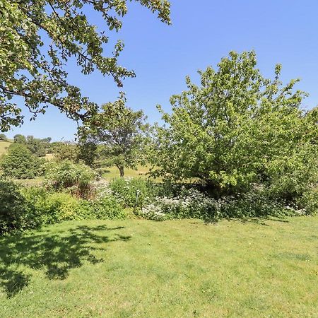 Dyffryn Bach Villa Rug Kültér fotó