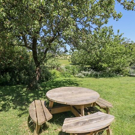 Dyffryn Bach Villa Rug Kültér fotó