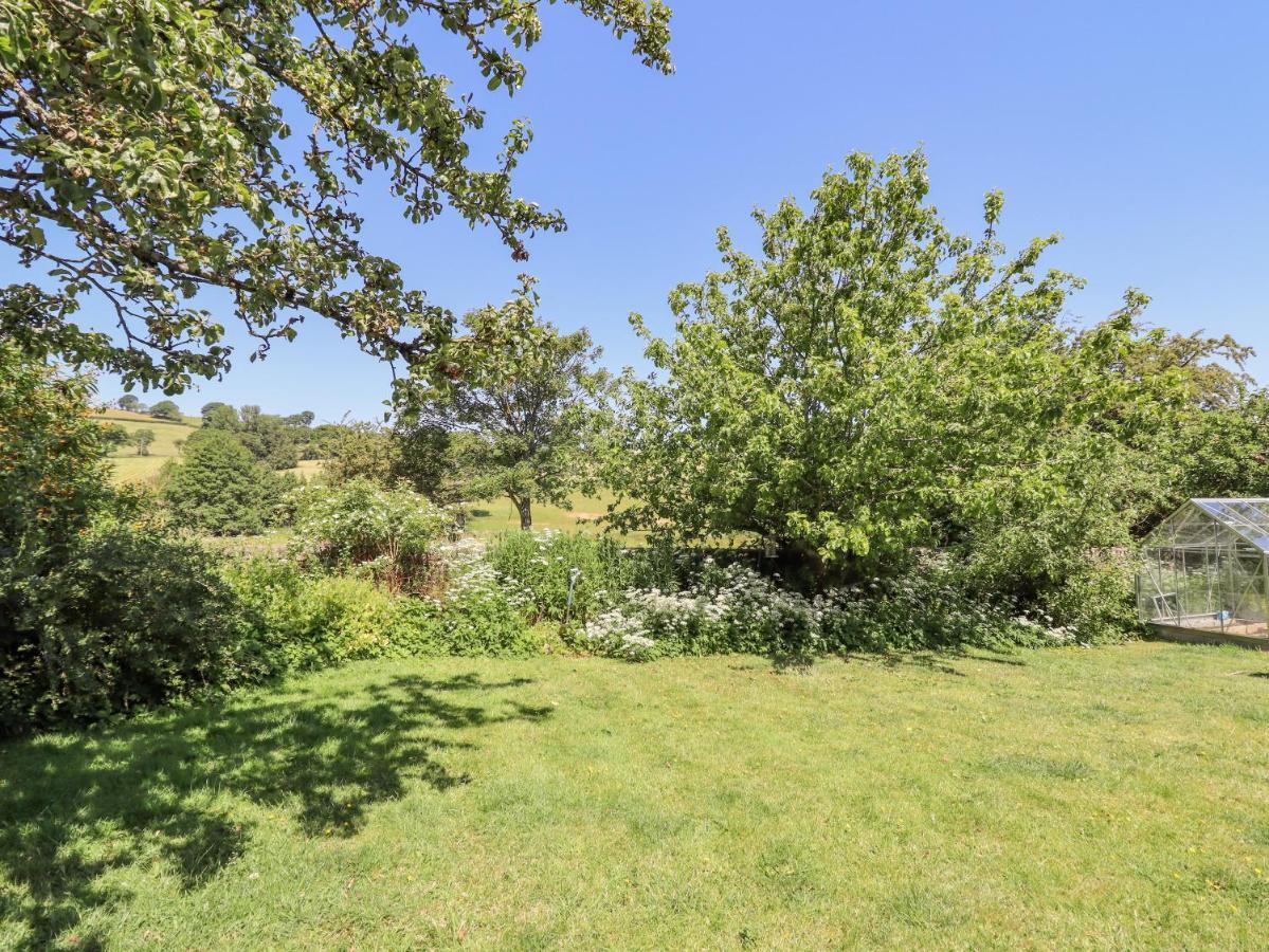 Dyffryn Bach Villa Rug Kültér fotó