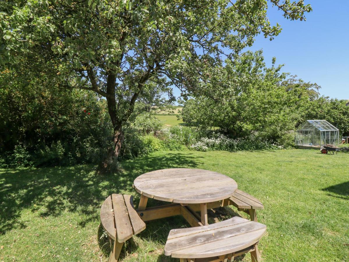 Dyffryn Bach Villa Rug Kültér fotó